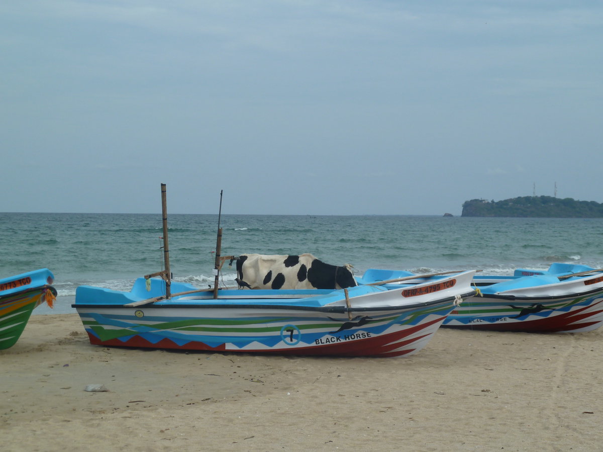 Trinquemalay, Trincomalee, Sri Lanka, 2015