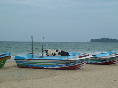 Trinquemalay, Trincomalee, 2015