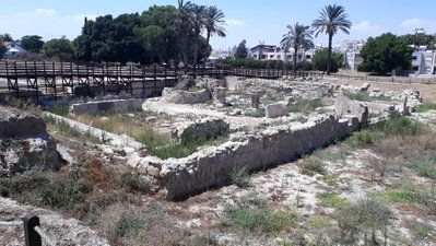 Excavations of Kition, Larnaca, Larnaca, 2019