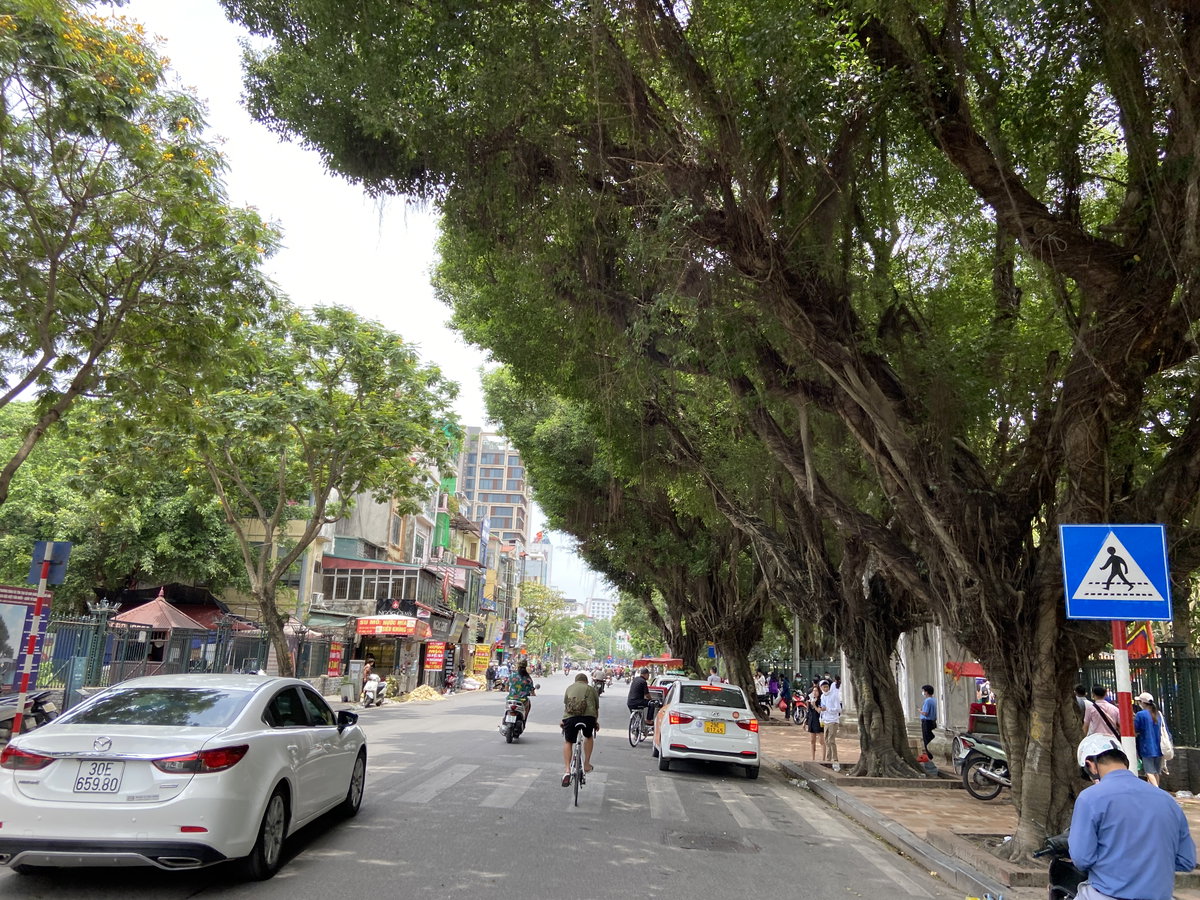 Quốc Tử Giám Street, Hanoi 02, Hanoi, Vietnam, 2022