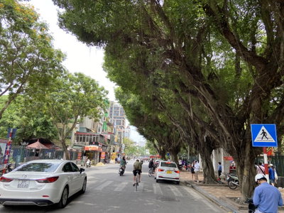 Quốc Tử Giám Street, Hanoi 02, Hanoi, 2022