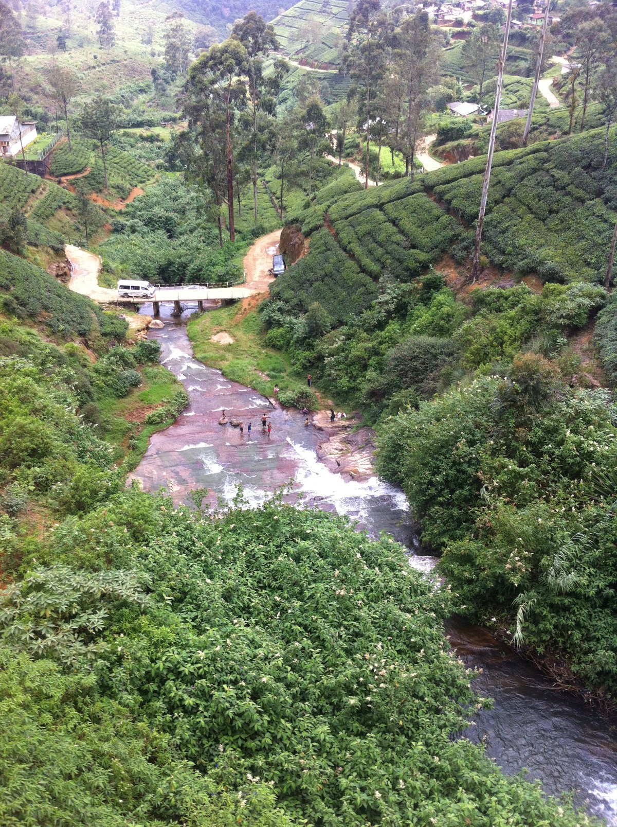 Nanuoya, Sri Lanka, Nuwara Eliya, Sri Lanka, 2014