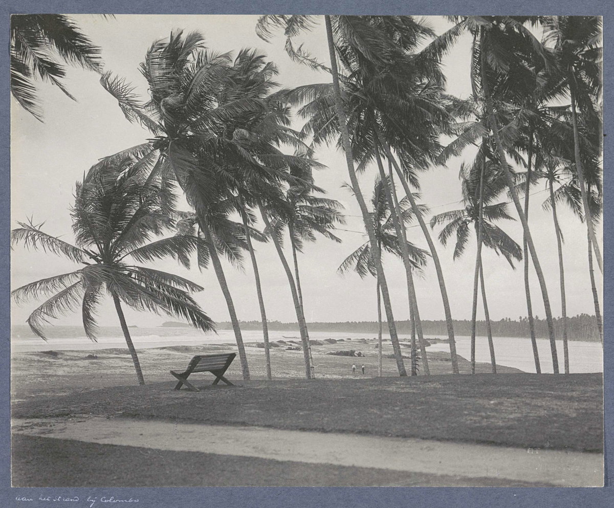 EU: Strand bij Colombo (Ceylon) met palmen en bank (1910), Colombo, Sri Lanka, 1910