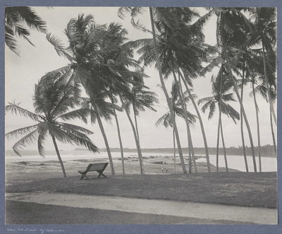 EU: Strand bij Colombo (Ceylon) met palmen en bank (1910), Colombo, 1910