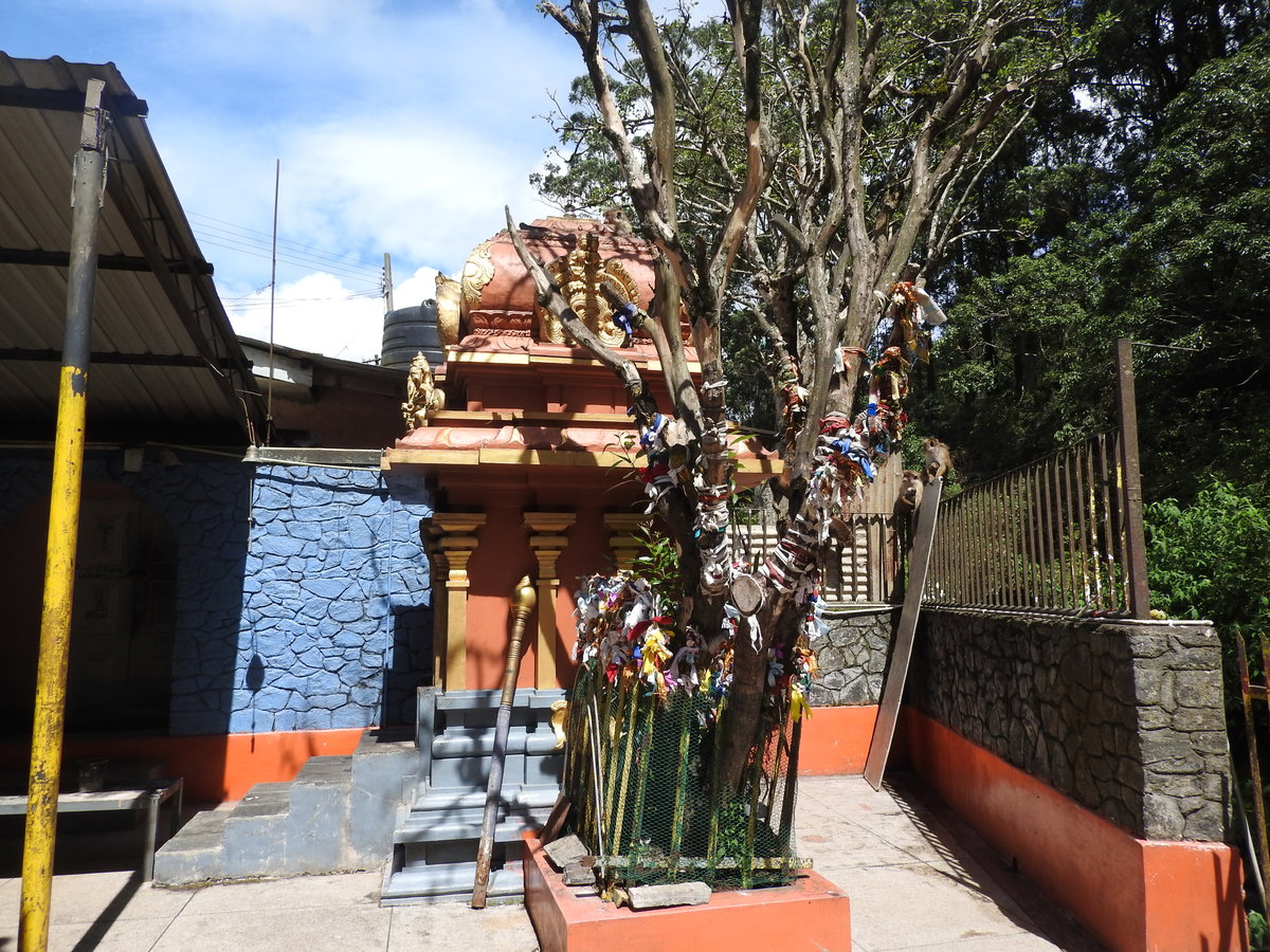 Seetha amman temple-5-seetha eliya-nuwara eliya-Sri Lanka, Nuwara Eliya, Sri Lanka, 2019