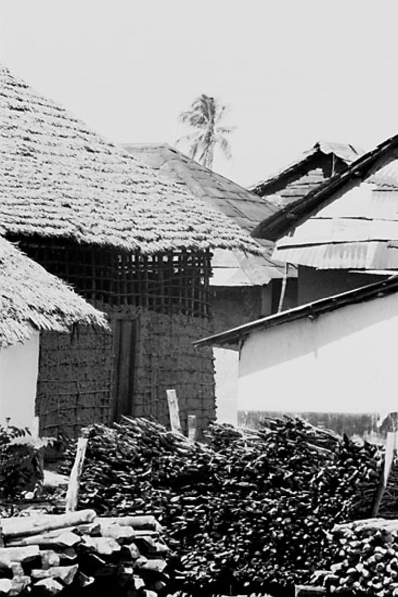 EU: Afrikaresa, Zanzibar - thatched houses, woodpile (1961) - HqAw, Zanzibar City, Tanzania, 1961