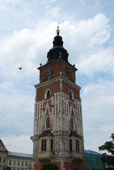 PL KR town hall tower, Kraków, 2010