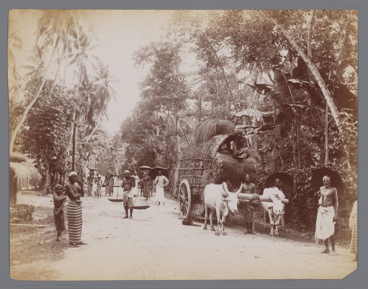 Straat in de tropen, Galle Sri Lanka, Galle, Sri Lanka, 1885