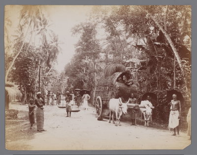 Straat in de tropen, Galle Sri Lanka, Galle, 1885