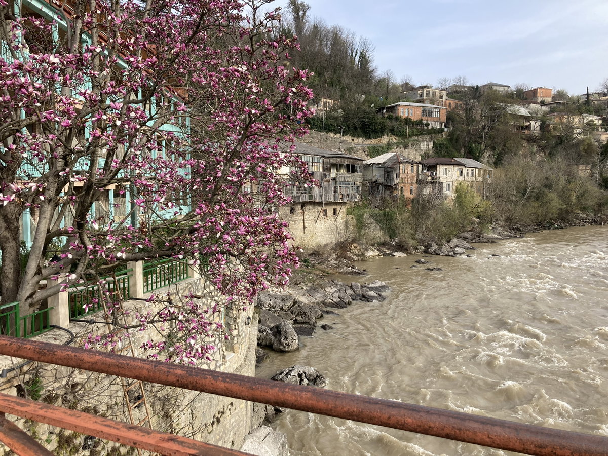 Magnolia at the Red Bridge, Kutaisi, Kutaisi, Georgia, 2022