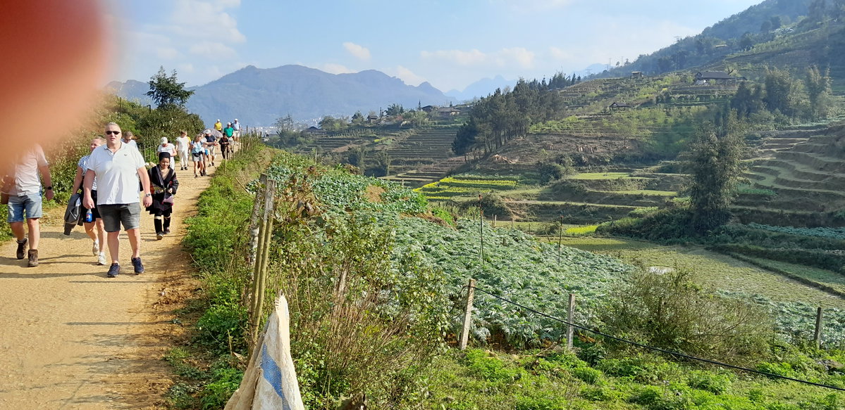 Ham Rong, Ta Phin, QL.4D.Sa Pa, rice fields (93086), Sa Pa, Vietnam, 2025