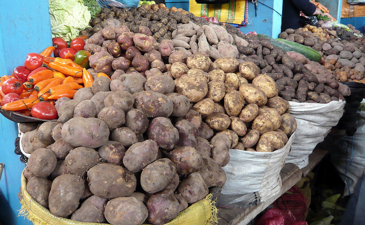Ayacucho, Ayacucho, Peru, 2008