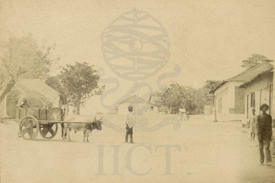 EU: Bolama - R. Do Consº H.S.Macedo (1892), Bolama, 1892