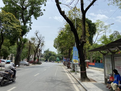Lý Thái Tổ Street, Hanoi 06, Hanoi, 2022