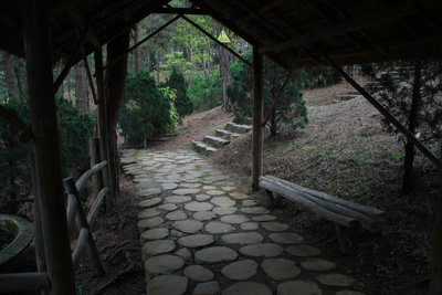 Mystic View From The Garden House In The Park, Da Lat, 2017