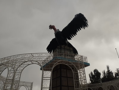 Mirador Kuntur Wasi, Puno 14, Puno, 2023