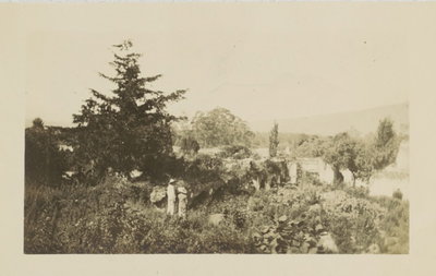 EU: Ruïnes van Antigua Guatemala, overgrown arcade (1912), Antigua Guatemala, 1912