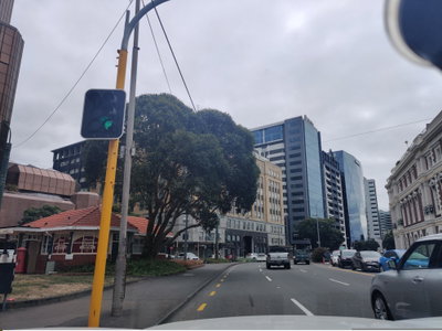 Mapillary (511609900025272, t5nqc5gmmyurknlocmdu5j) (elphix), Wellington, 2021
