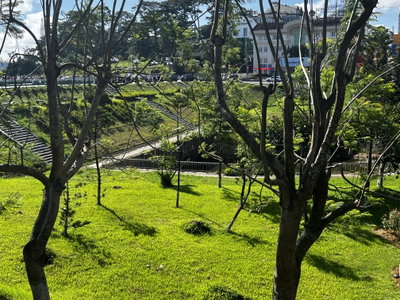 Scenic view of Xuan Huong Lake’s dam, Da Lat, 2025