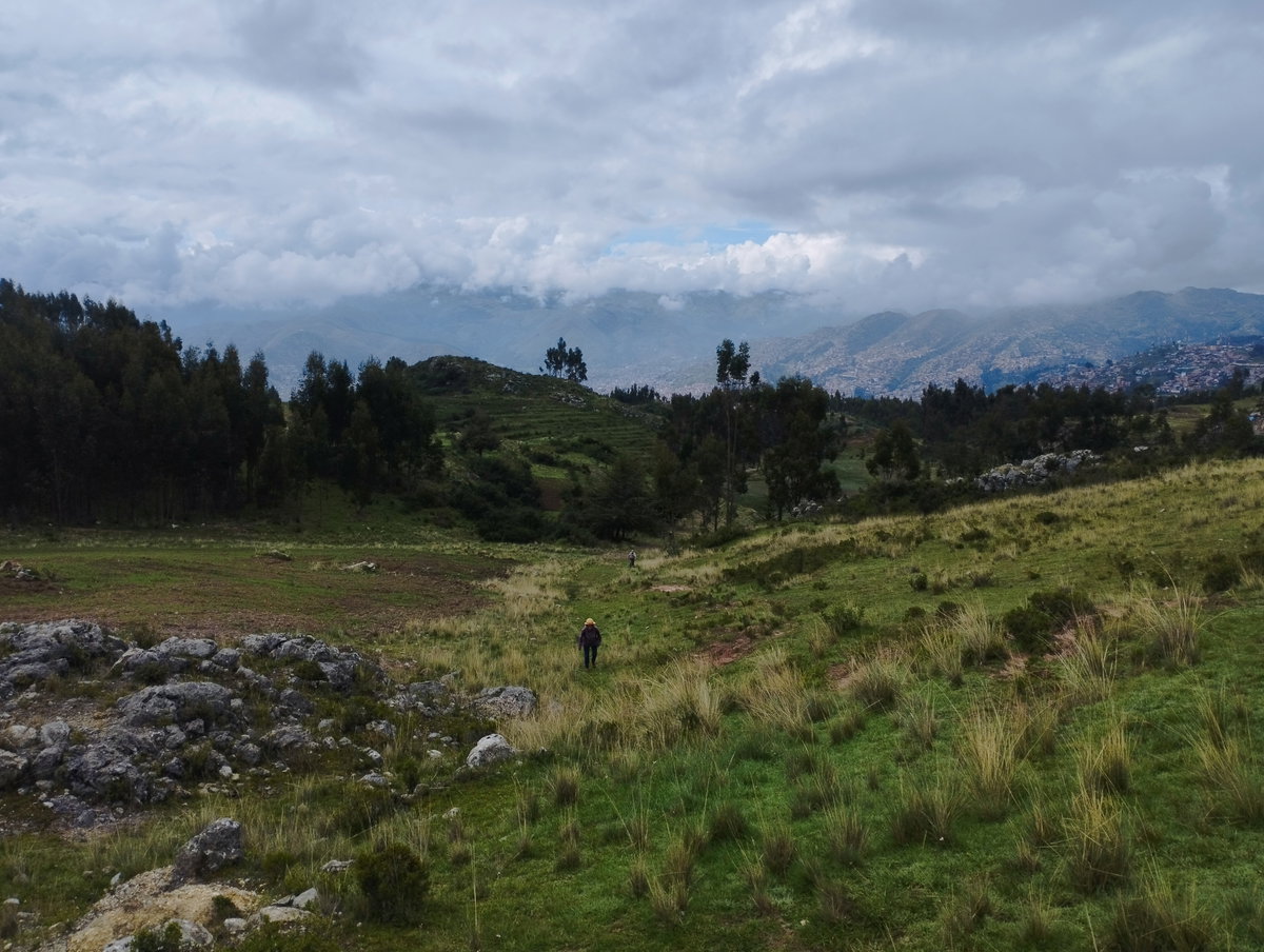 Áreas naturales del Parque de Saqsaywaman 001, Cusco, Peru, 2024