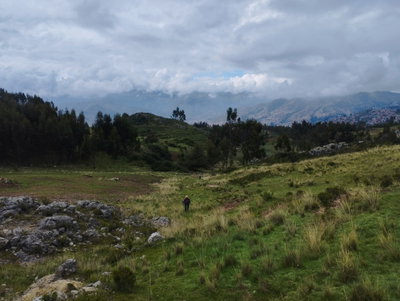 Áreas naturales del Parque de Saqsaywaman 001, Cusco, 2024