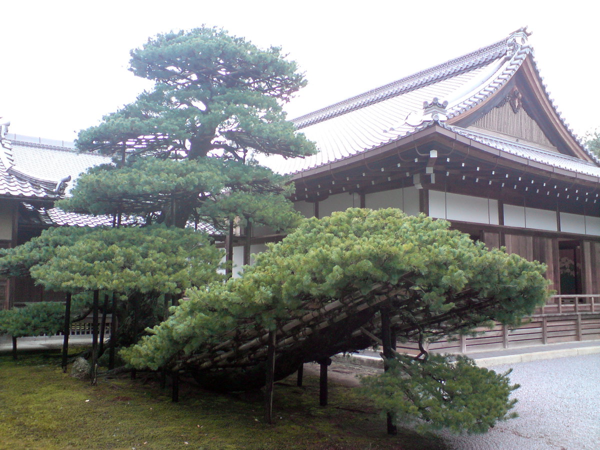 Kyoto Golden Pavillion, Kyoto, Japan, 2008