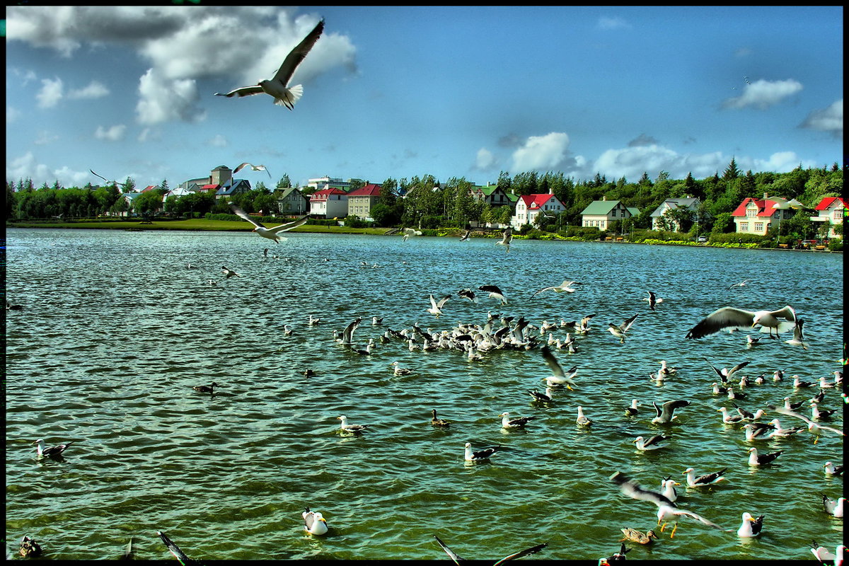 Tjörmin Lake, Reykjavík, Reykjavik, Iceland, 2008