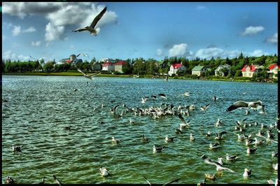 Tjörmin Lake, Reykjavík, Reykjavik, 2008