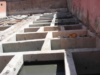 Marrakech tanneries, Marrakech, 2006