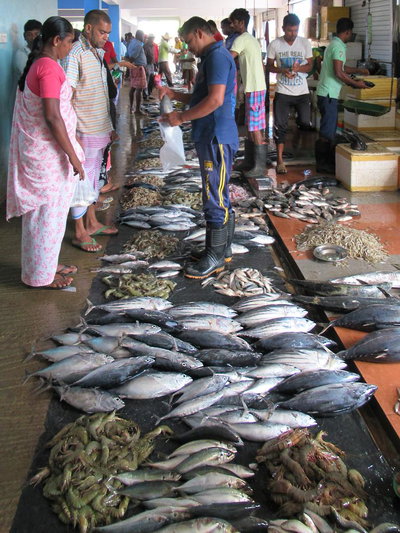 Trincomalee Fish Market, Trincomalee, 2018