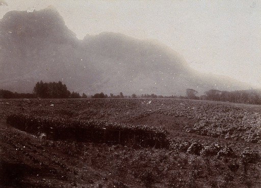 EU: South Africa: Table Mountain from Mrs Rhodes' garden at Groote Schuur. (1896), Cape Town, South Africa, 1896