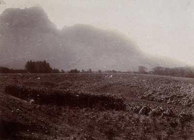 EU: South Africa: Table Mountain from Mrs Rhodes' garden at Groote Schuur. (1896), Cape Town, 1896