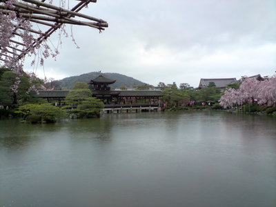 Kyoto Imperial Shrine Park, Kyoto, 2008
