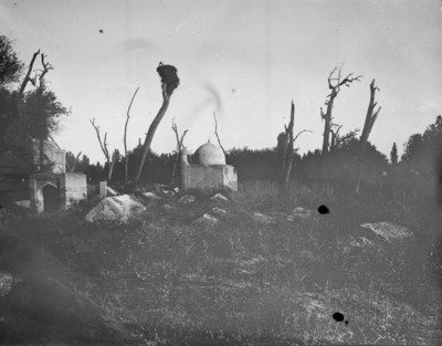 EU: vanha hautausmaa pyhine puineen - toinen näkymä (1907), Tashkent, 1907