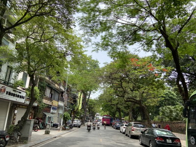 Văn Miếu Street, Hanoi, Hanoi, 2022