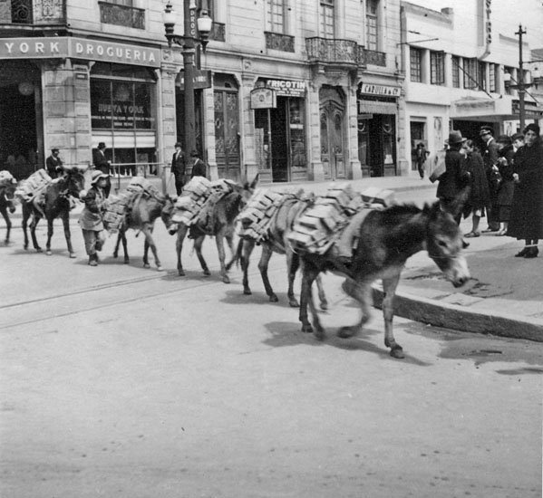 EU: Tegeltransport med fyrbenta åsnor. Bogotá i juli 1935 (1935), Bogotá, Colombia, 1935