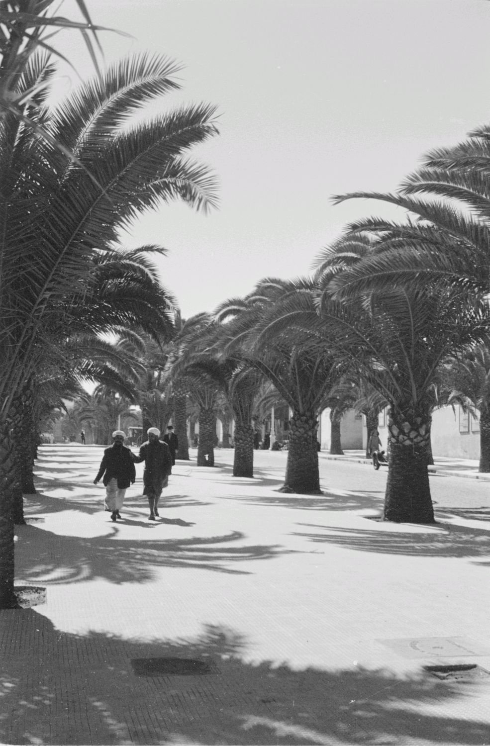 EU: Travel photos Morocco. Palm alley with pedestrians (probably the Parc de la Ligue Arabe in Casablanca) (1939), Casablanca, Morocco, 1939