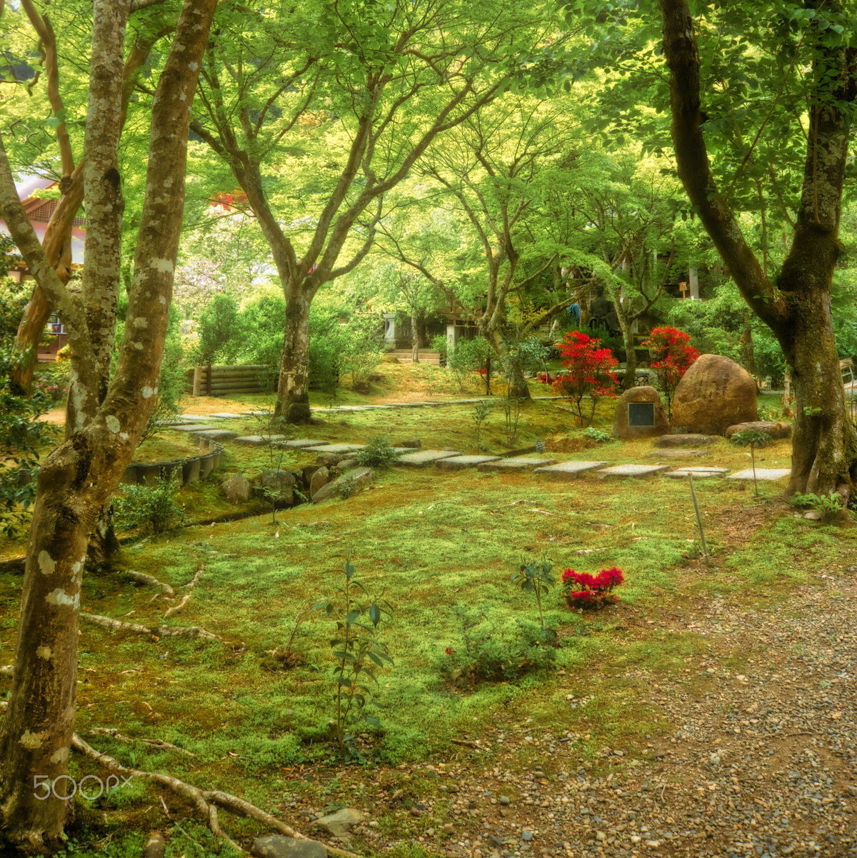 Shrine Garden, Kyoto, Japan, 2017