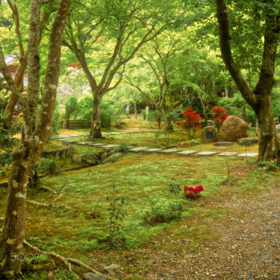 Shrine Garden, Kyoto, 2017