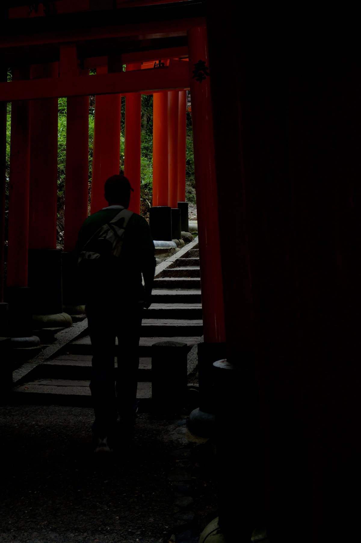 Climbing Fushimi Inari, Kyoto, Japan, 2008