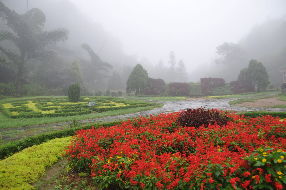 Vườn hoa Sa Pa, Sa Pa, Vietnam, 2011