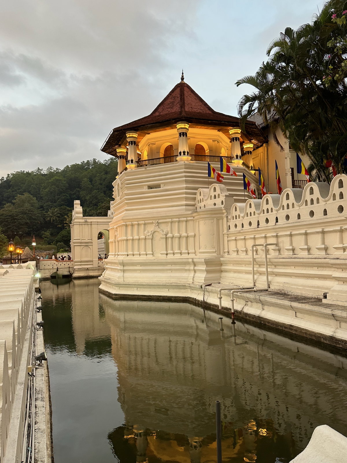 Paththirippuwa i el fossat, Kandy, Sri Lanka, 2023
