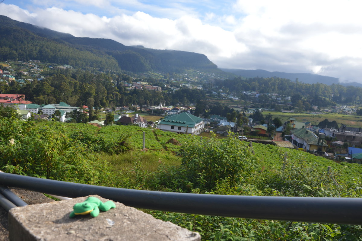 Nuwara Eliya, Sri Lanka, Nuwara Eliya, Sri Lanka, 2016