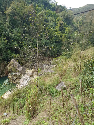 Ta Van Muong Ha vallei (97213), Sa Pa, 2025