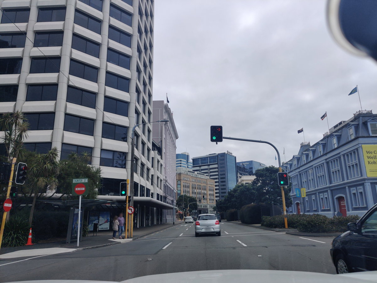 Mapillary (281861620315521, t5nqc5gmmyurknlocmdu5j) (elphix), Wellington, New Zealand, 2021