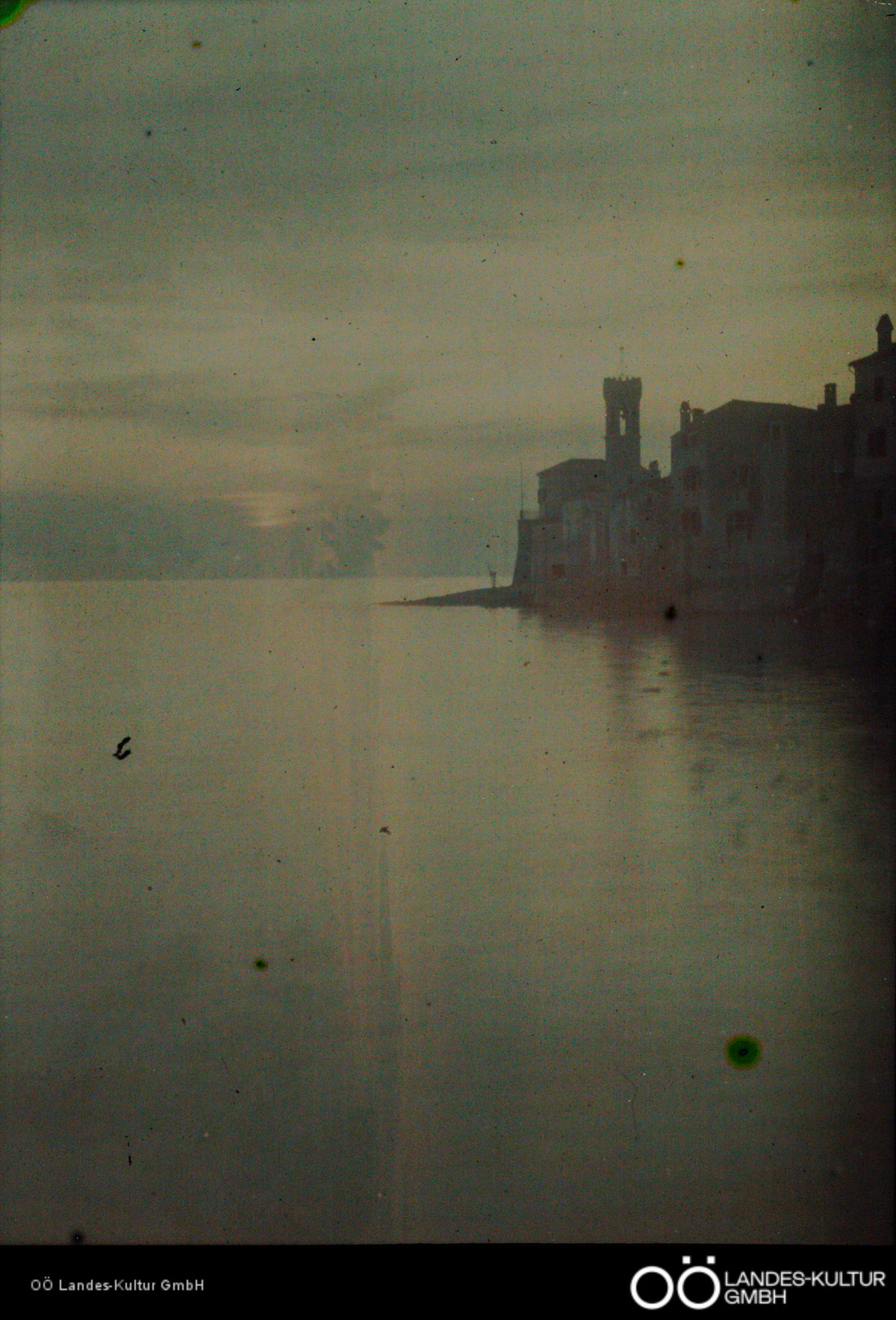 EU: Piran, Kirche St. Clementa (1913), Piran, Slovenia, 1913