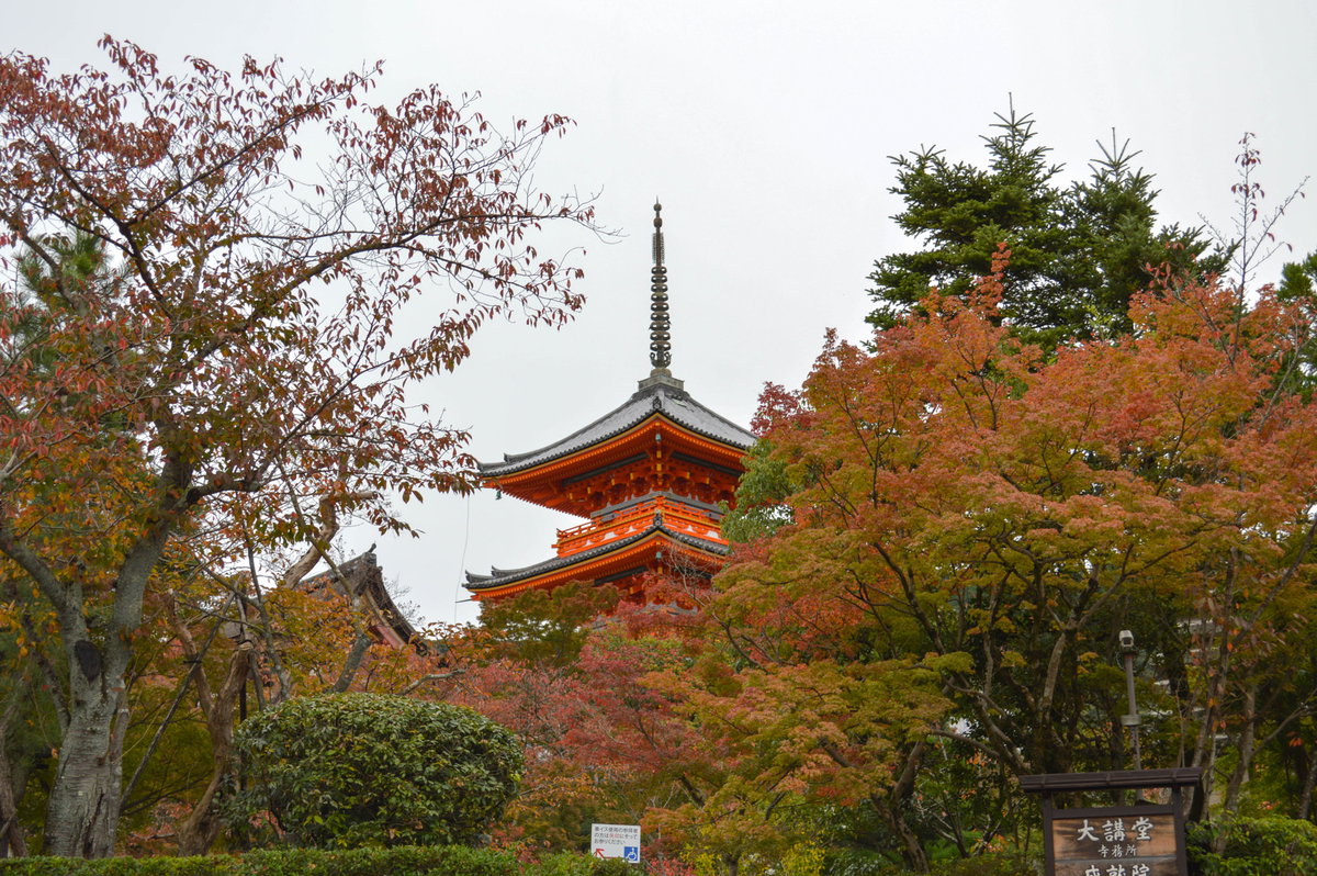 Changing Colors, Kyoto, Japan, 2015