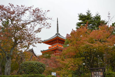 Changing Colors, Kyoto, 2015