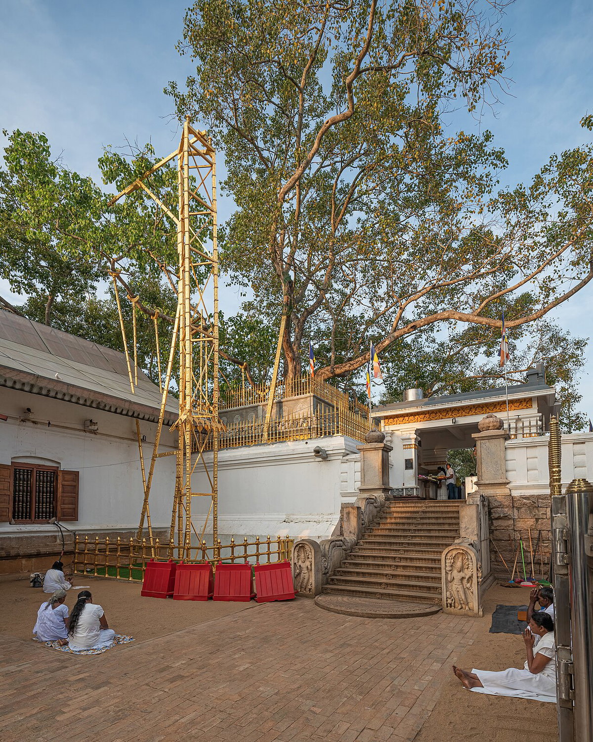 SL Anuradhapura Jaya Sri Maha Bodhi, Anuradhapura, Sri Lanka, 2020