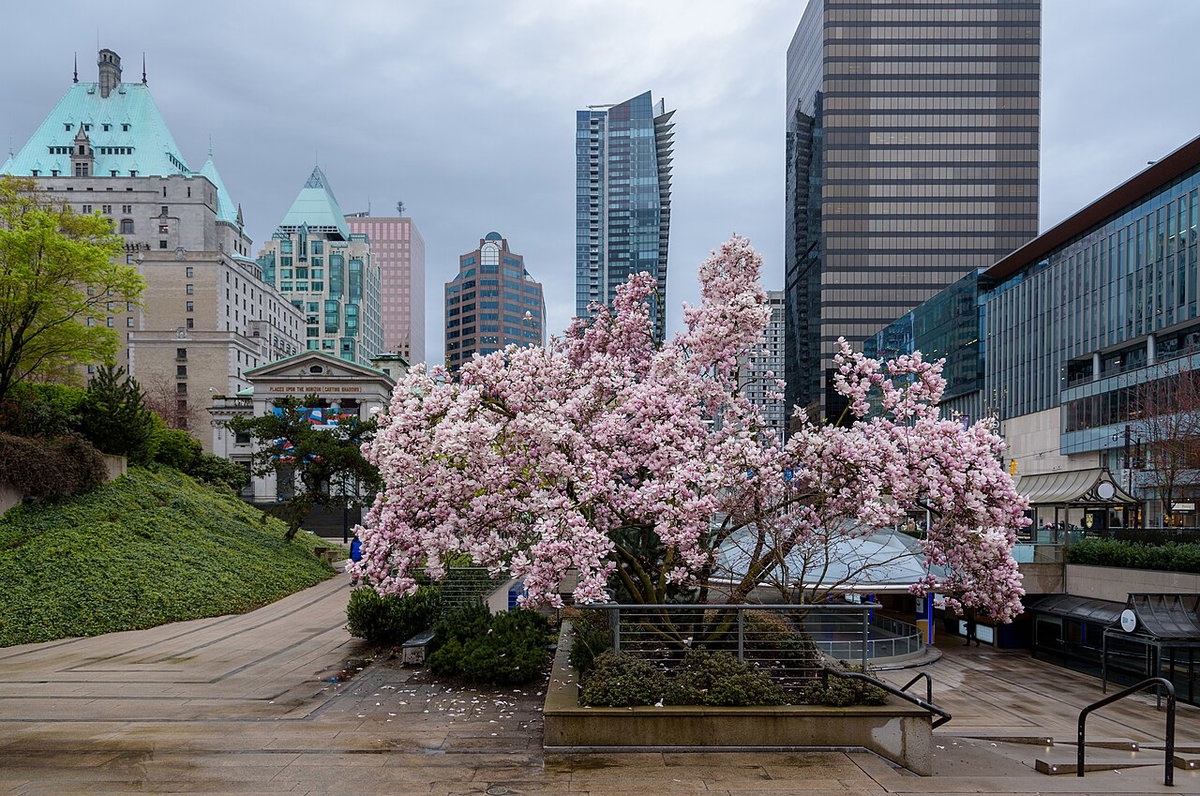 Robson Square Vancouver 05, Vancouver, Canada, 2016